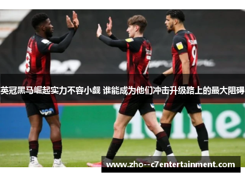 英冠黑马崛起实力不容小觑 谁能成为他们冲击升级路上的最大阻碍 英冠黑马崛起实力不容小觑 谁能成为他们冲击升级路上的最大阻碍
