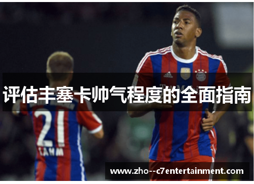 评估丰塞卡帅气程度的全面指南