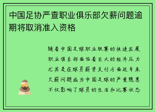 中国足协严查职业俱乐部欠薪问题逾期将取消准入资格